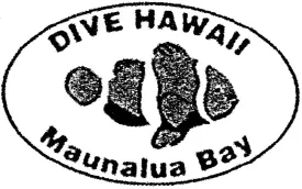 Diver's Island