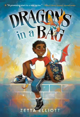 Dragons in a Bag Paperback  August 13, 2019