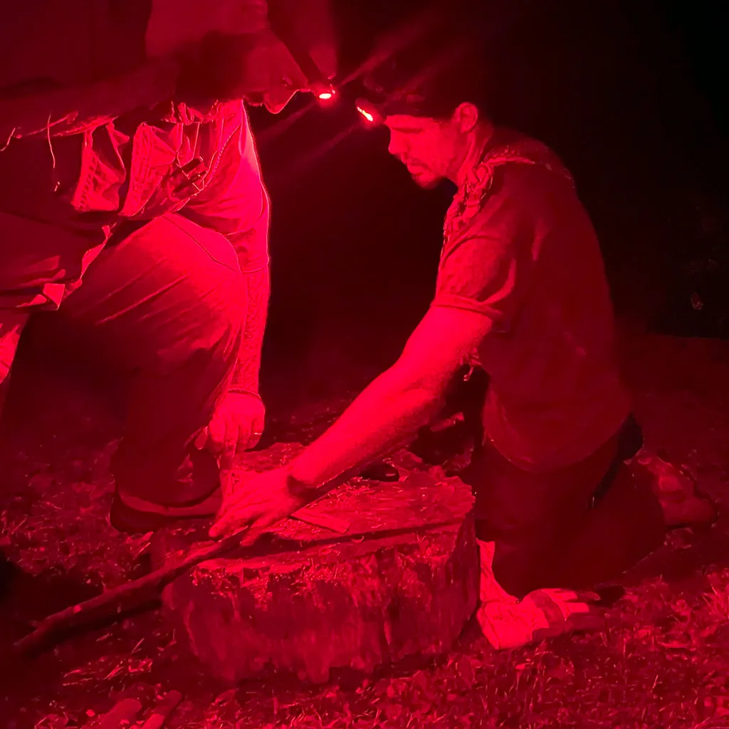 INTERMEDIATE SURVIVAL